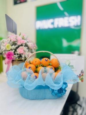 Giỏ trái cây 2471