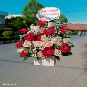 Giỏ hoa tươi chúc mừng TH017