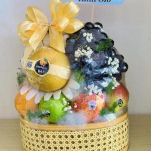 Giỏ trái cây nhập khẩu GTC2309