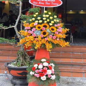 Kệ hoa chúc mừng khai trương HKT202039