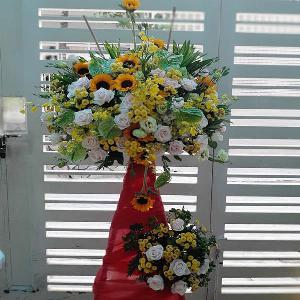 Kệ hoa chúc mừng khai trương HKT202050