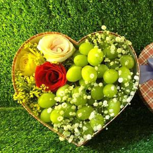 Giỏ trái cây quà tặng TCM2113