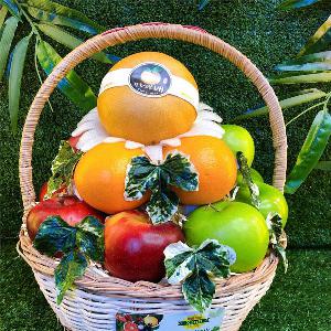 Giỏ trái cây quà tặng TCM2121