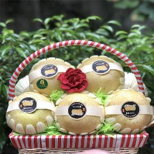 Giỏ trái cây quà tặng TCM2133