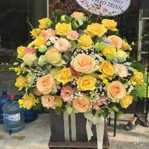 Giỏ hoa tươi chúc mừng HTG201912