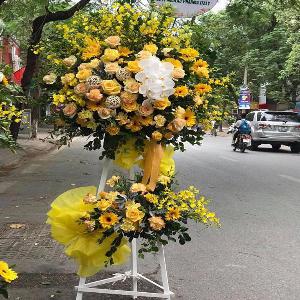 Hoa chúc mừng khai trương HKT201954