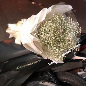 Bó hoa tươi chúc mừng HCM1909