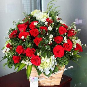 Bó hoa tươi chúc mừng HCM1923