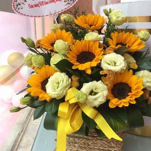 Giỏ hoa chúc mừng HCM202006