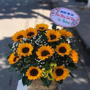 Giỏ hoa chúc mừng HCM202007