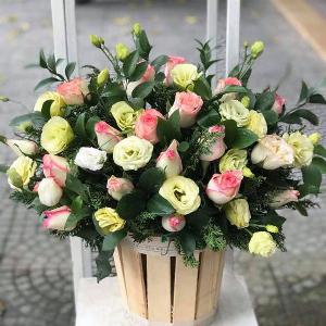 Giỏ hoa chúc mừng HCM202019
