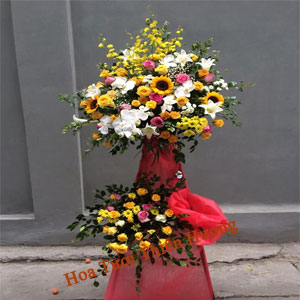 Hoa Chúc Mừng Khai Trương-HKT2818