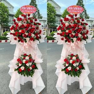 Hoa chúc mừng 029