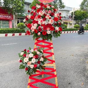 Hoa chúc mừng 032