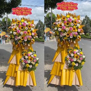 Hoa Chúc Mừng 062