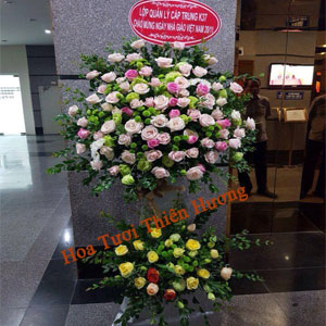 Hoa Chúc Mừng Khai Trương HKT2804