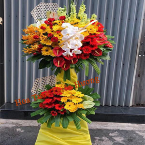 Hoa Chúc Mừng Khai Trương HKT2817