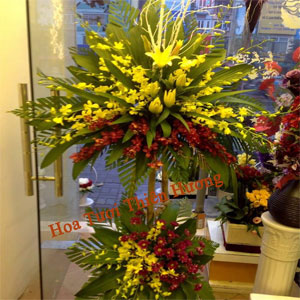 Hoa Chúc Mừng Khai Trương HKT2820