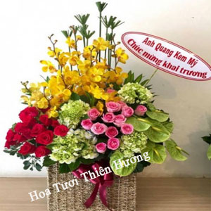 Hoa Chúc Mừng Khai Trương HKT2830