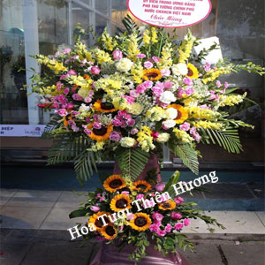 Hoa Chúc Mừng Khai Trương HKT2832