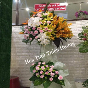 Hoa Chúc Mừng Khai Trương HKT2838
