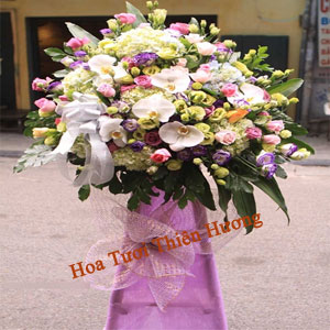 Hoa Chúc Mừng Khai Trương HKT2803