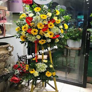 hoa chúc mừng khai trương HKT2849