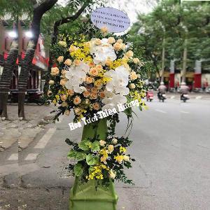 hoa chúc mừng khai trương HKT2850