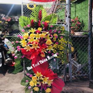 hoa chúc mừng khai trương HKT2858