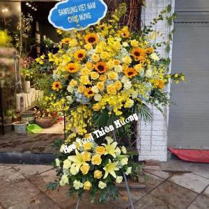 hoa chúc mừng khai trương HKT2862