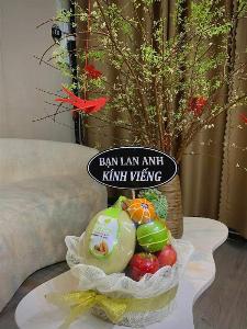 Giỏ trái cây 2510