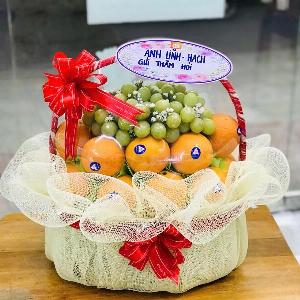 Giỏ trái cây 2583