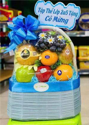 Giỏ trái cây 2585